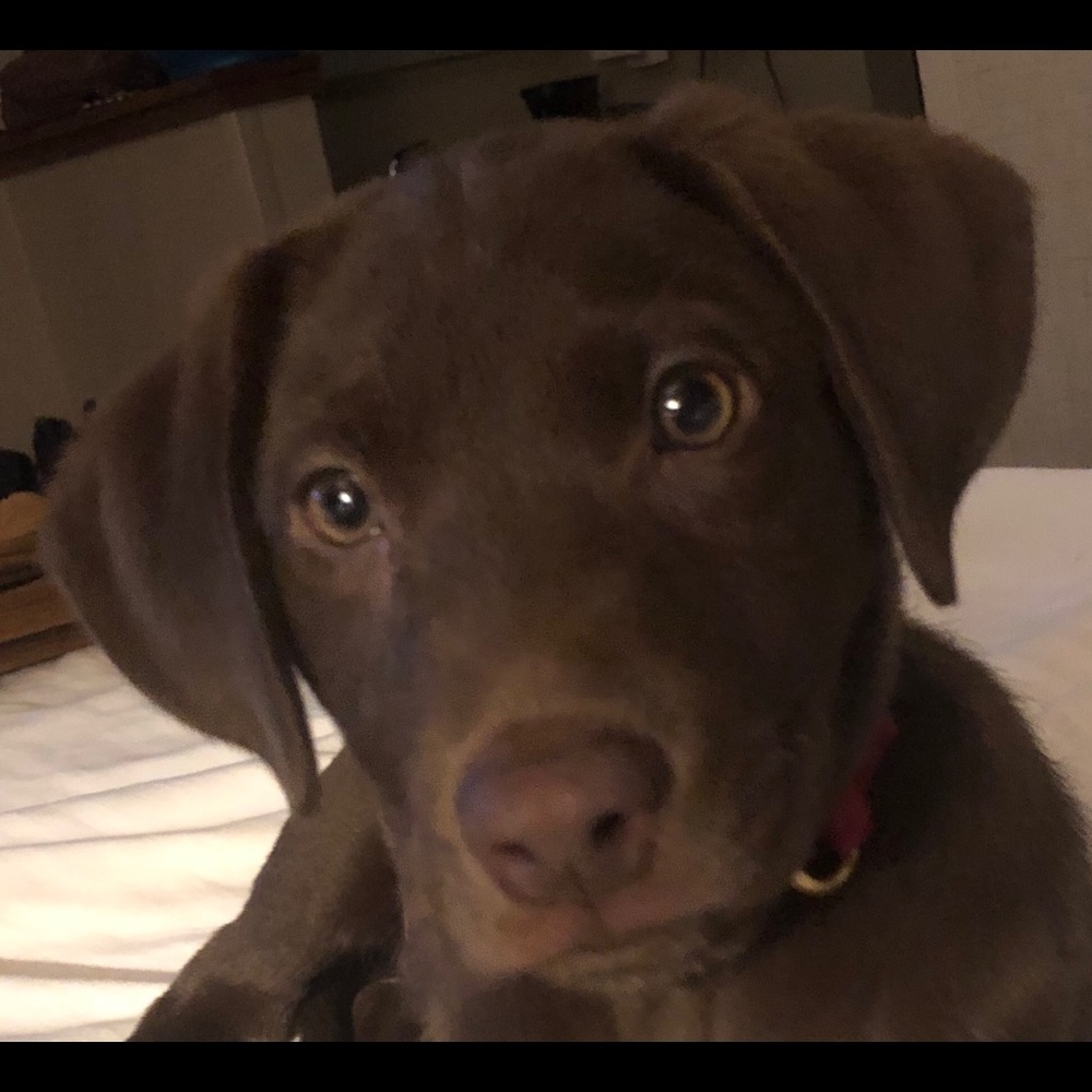 Meet your Posher, Lori